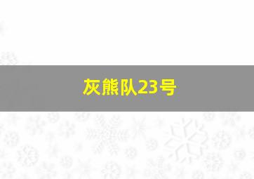 灰熊队23号