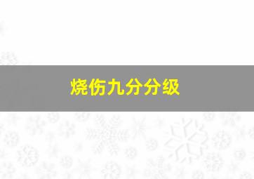 烧伤九分分级