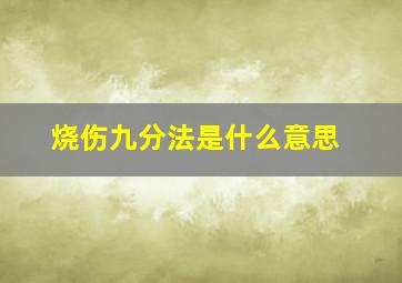 烧伤九分法是什么意思