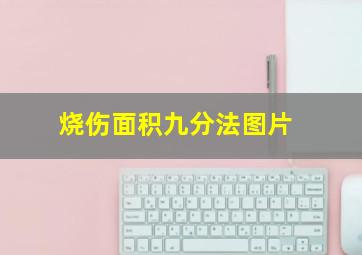 烧伤面积九分法图片