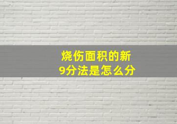 烧伤面积的新9分法是怎么分