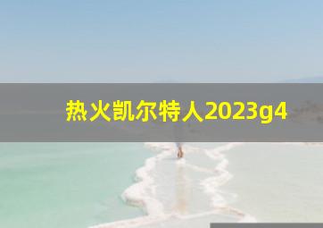 热火凯尔特人2023g4