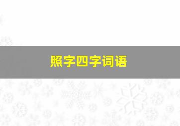 照字四字词语