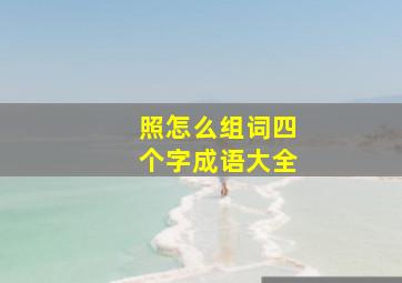 照怎么组词四个字成语大全