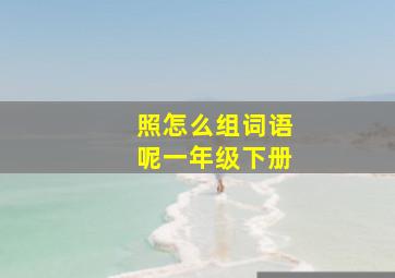 照怎么组词语呢一年级下册