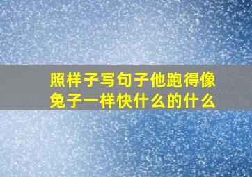 照样子写句子他跑得像兔子一样快什么的什么