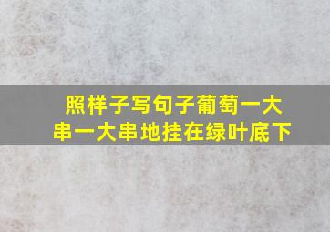 照样子写句子葡萄一大串一大串地挂在绿叶底下