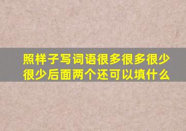 照样子写词语很多很多很少很少后面两个还可以填什么