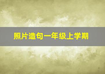 照片造句一年级上学期