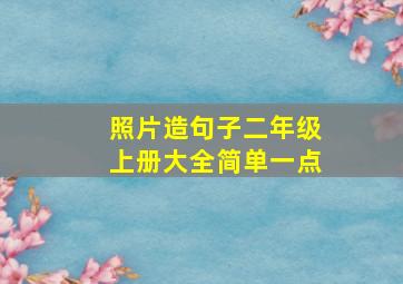 照片造句子二年级上册大全简单一点