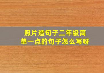 照片造句子二年级简单一点的句子怎么写呀