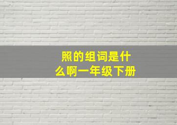 照的组词是什么啊一年级下册