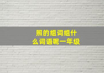 照的组词组什么词语呢一年级