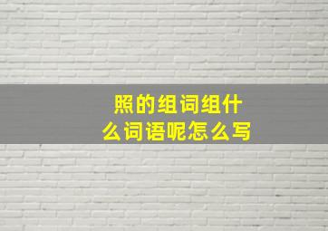 照的组词组什么词语呢怎么写