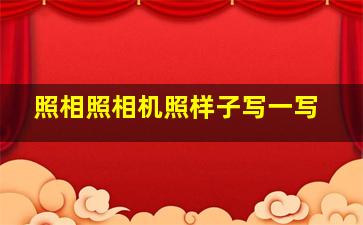 照相照相机照样子写一写