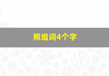 照组词4个字