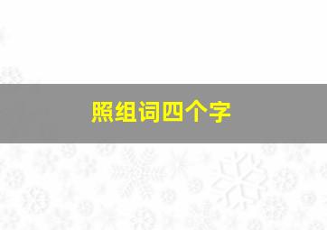 照组词四个字