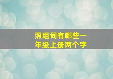 照组词有哪些一年级上册两个字