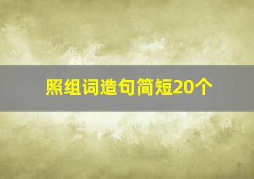 照组词造句简短20个