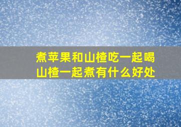 煮苹果和山楂吃一起喝山楂一起煮有什么好处