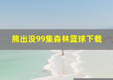 熊出没99集森林篮球下载