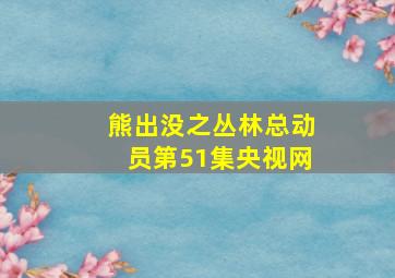 熊出没之丛林总动员第51集央视网