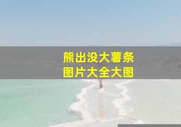 熊出没大薯条图片大全大图