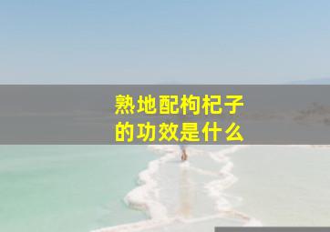 熟地配枸杞子的功效是什么