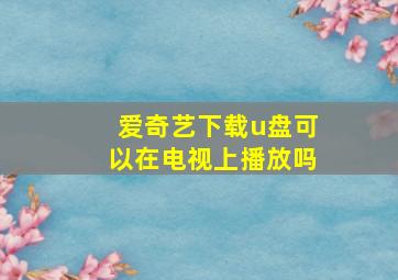 爱奇艺下载u盘可以在电视上播放吗