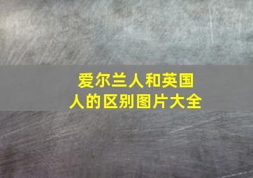 爱尔兰人和英国人的区别图片大全