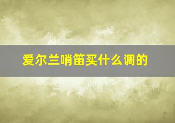 爱尔兰哨笛买什么调的