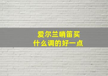 爱尔兰哨笛买什么调的好一点