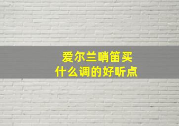 爱尔兰哨笛买什么调的好听点