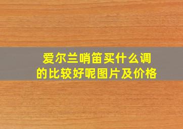 爱尔兰哨笛买什么调的比较好呢图片及价格