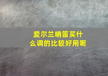 爱尔兰哨笛买什么调的比较好用呢