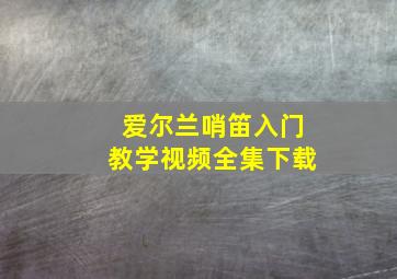 爱尔兰哨笛入门教学视频全集下载