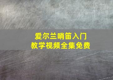 爱尔兰哨笛入门教学视频全集免费