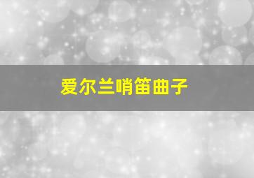 爱尔兰哨笛曲子