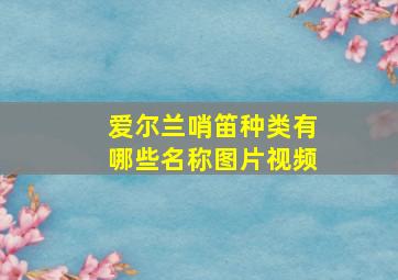 爱尔兰哨笛种类有哪些名称图片视频