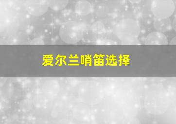 爱尔兰哨笛选择