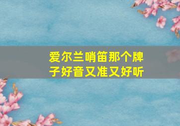 爱尔兰哨笛那个牌子好音又准又好听