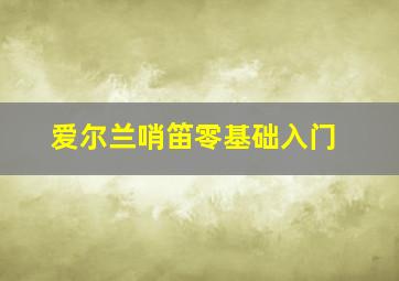 爱尔兰哨笛零基础入门