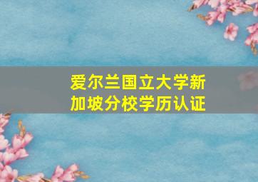 爱尔兰国立大学新加坡分校学历认证