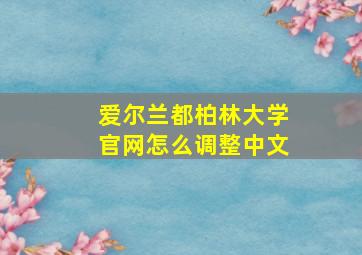 爱尔兰都柏林大学官网怎么调整中文