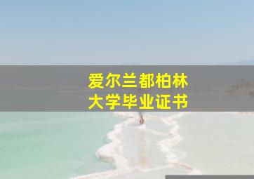 爱尔兰都柏林大学毕业证书