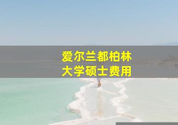 爱尔兰都柏林大学硕士费用