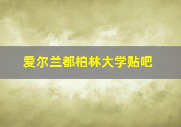 爱尔兰都柏林大学贴吧