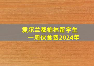 爱尔兰都柏林留学生一周伙食费2024年