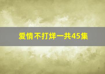 爱情不打烊一共45集