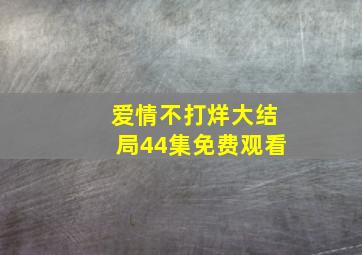 爱情不打烊大结局44集免费观看